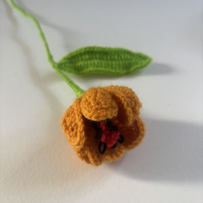 Phase 4 du bouquet de fleurs au crochet . . .