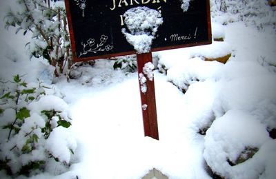 QUAND LA NATURE SE REVEILLE SOUS LA NEIGE...