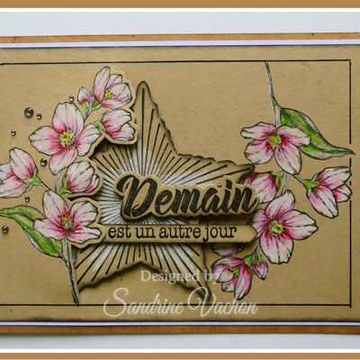 Carte kraft et étoile (DT PCC)