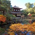 1er jour à Kyoto: Temples Ginkakuji et Kiyomisu.