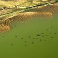 Sauver le lac Tchad