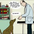 Doc et dog