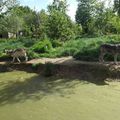 Sortie Zoo de la Boissière du Doré