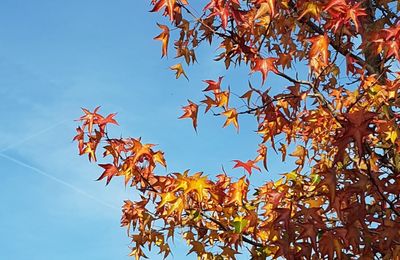 Prendre l'air en décembre 2024