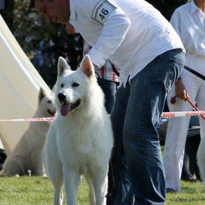 Mémoires, memories, Erinnerungen avec/with/mit Thorsten et Baby Baron du Bois des Ternes