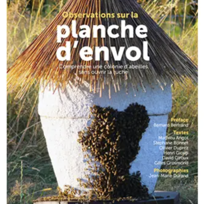 Une idée à mettre sous le sapin