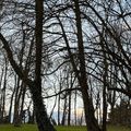 parc