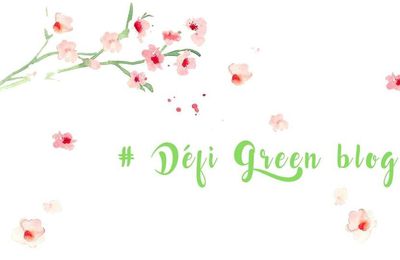 Défi Green Blog, episode 2 : nouvelle routine beauté 