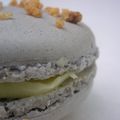 Macarons aux Noisettes