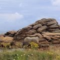 Ploumanac'h, Côte de granit rose