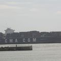 M/V CMA CGM AQUILA