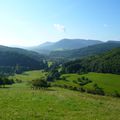 Les Ripailles de l'Abreuvoir 2008