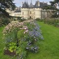 Le château de Chaumont/Loire