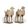 A pair of straw-glazed pottery camels, Tang dynasty