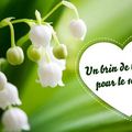 Vive le muguet !!!