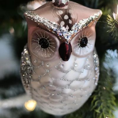 Oiseaux d'hiver divers 🐦🦉 ...