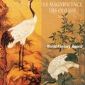 La Magnificence des oiseaux de Barry Hughart