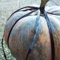 Tête de courge pour Papilles et Pupilles