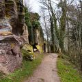 Le Mont Sainte-Odile - Alsace 