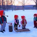 Bien le bonjour & d'où viennent les lutins des bois