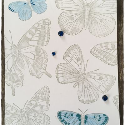 Envolée de papillons