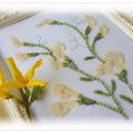 Fleurs de Genêt