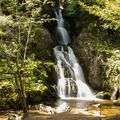 Randonnée à la journée le mardi 17 septembre - Cascade de Chorsin (42).