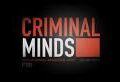 4- «Criminal minds» en tête des audiences 