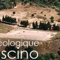 Où fouiller en 2011 (11), URGENT Ruscino recherche fouilleurs