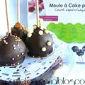 Révolution dans l'art de la "cake pop" , comprenez sucette gateau...+ une réduction pour mes lecteurs.