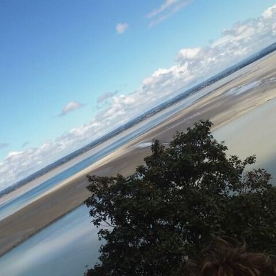 VIQUE NOIRIE. Version 2