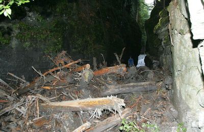 Sceance de bucheronnage dans les gorges!!!