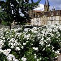 LES AMIS DE ST FRANCOIS D ASSISE EN BOURGOGNE