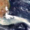 Incendies en Australie