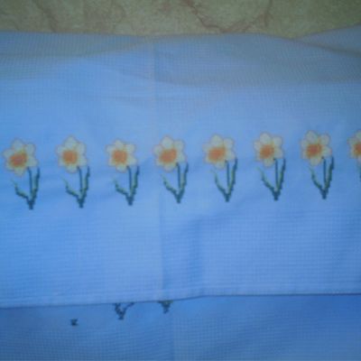 en attendant le printemps ,quelques jonquilles