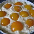 gateau aux abricots (REGIME) recette archives