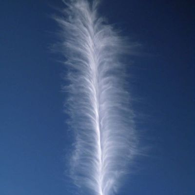 2011: ESPOIR ET PROJETS QUI SE REALISENT