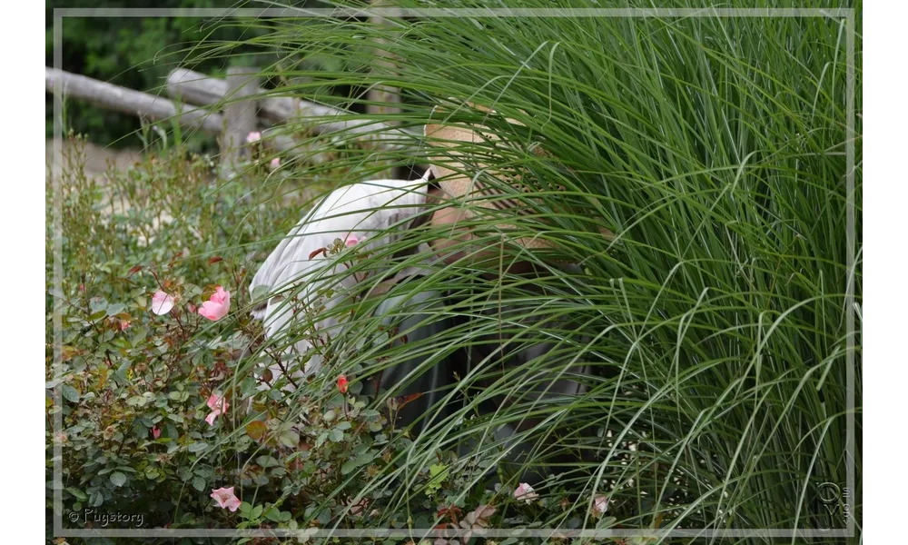 Dans les jardins du Puy du Fou.