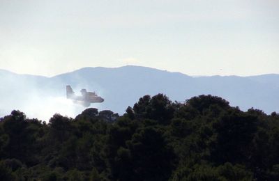 Feu le long de l'autoroute A9