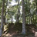 MONTSALVY (15) - LE PUY DE L'ARBRE