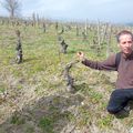 Sous le soleil des vignes de Dallet