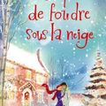 Coup de foudre sous la neige, Sarah Morgan et Kate Hoffman