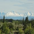 JOUR 8 : Lundi 20 Novembre 2017 - HACIENDA A CHILE CHICO & CUEVA A MANOS