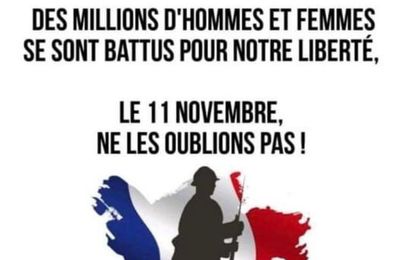 11 novembre 2024
