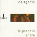 LIVRE : Le Paradis entre les Jambes de Nicole Caligaris - 2013