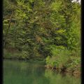 Lac vert (Gorges du Pichoux)