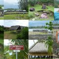 Très belle île huahiné