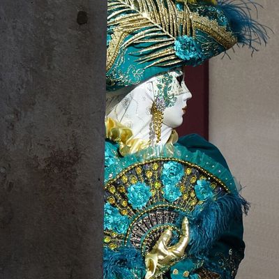 Carnaval vénitien de castres 2019