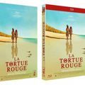Concours La tortue rouge : 1 Blu Ray et deux DVD d'un chef d'oeuvre de l'animation à gagner en DVD..
