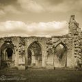 Ruines de l'Abbaye de Vauclair